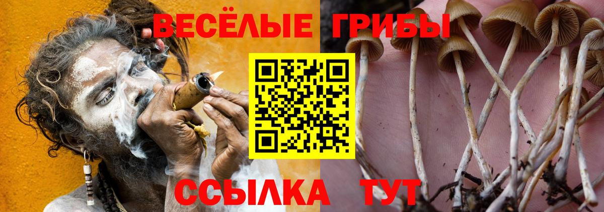 Псилоцибиновые грибы MAGIC MUSHROOMS Наро-Фоминск
