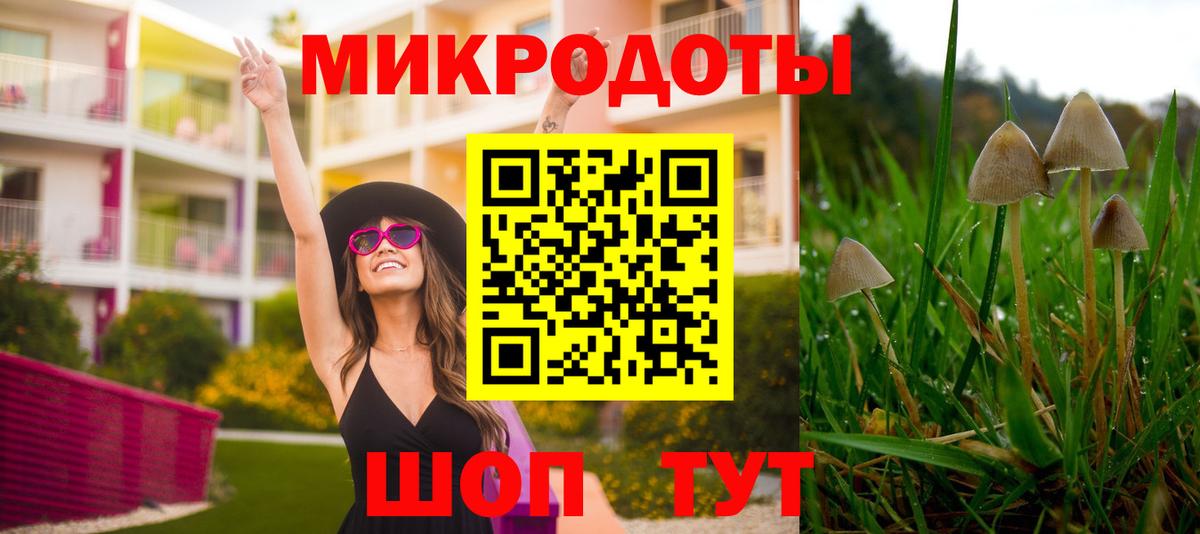 Галлюциногенные грибы Psilocybe  Вход с VPN  Наро-Фоминск 